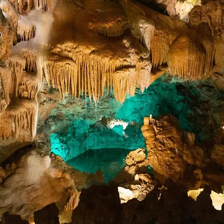 Farm stay Casa Do Sol - - Nazare Alcobaca *