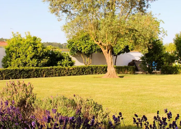 ファームステイ Casa Do Sol - - Nazare Alcobaca Coz